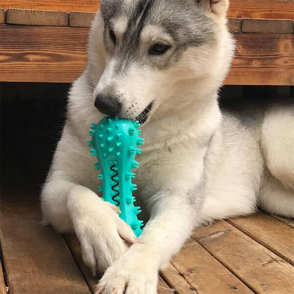 Dog Cleaning Chew Toy For Aggressive Dogs - Image 3