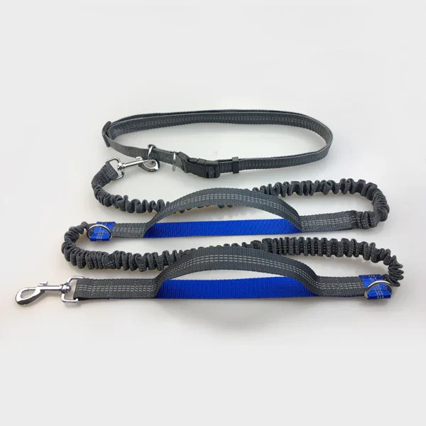 Multi-Functional Double Elastic Dog Leash - Image 6