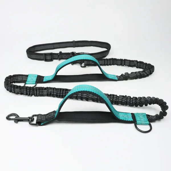 Multi-Functional Double Elastic Dog Leash - Image 11