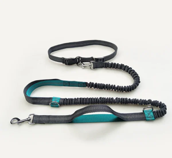 Multi-Functional Double Elastic Dog Leash - Image 12