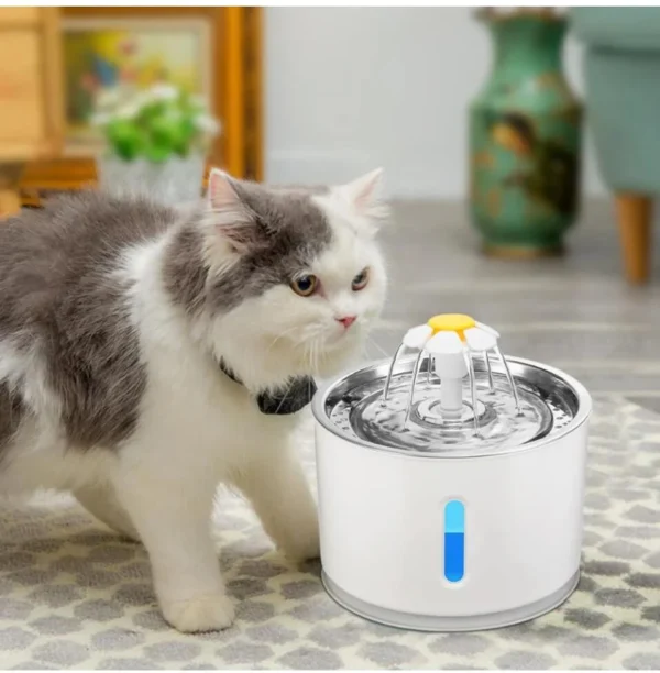 Automatic Pet Water Fountain With LED Lighting - Image 3