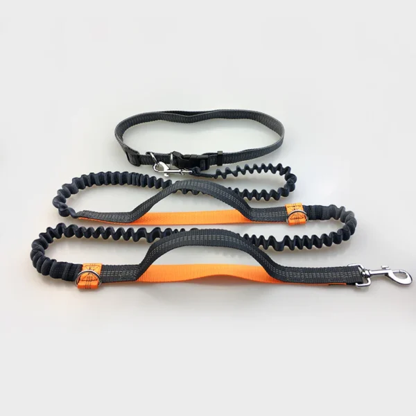 Multi-Functional Double Elastic Dog Leash - Image 4