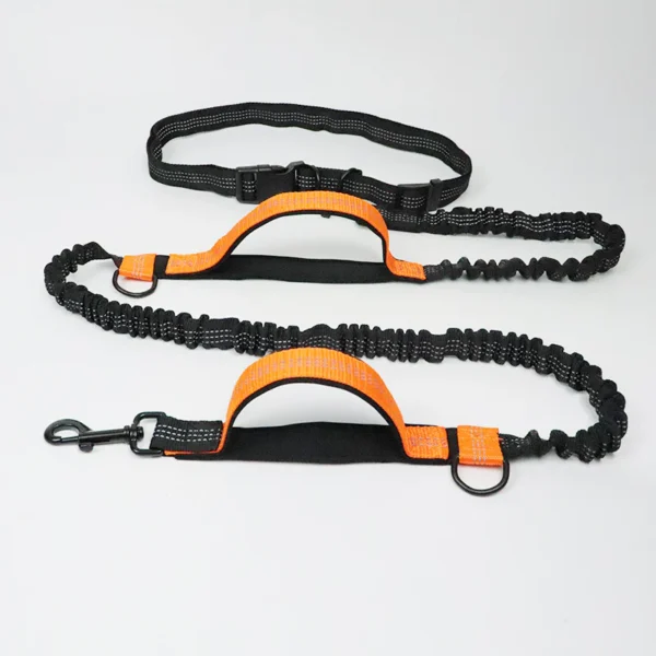 Multi-Functional Double Elastic Dog Leash - Image 9