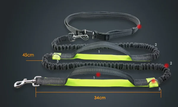 Multi-Functional Double Elastic Dog Leash - Image 5