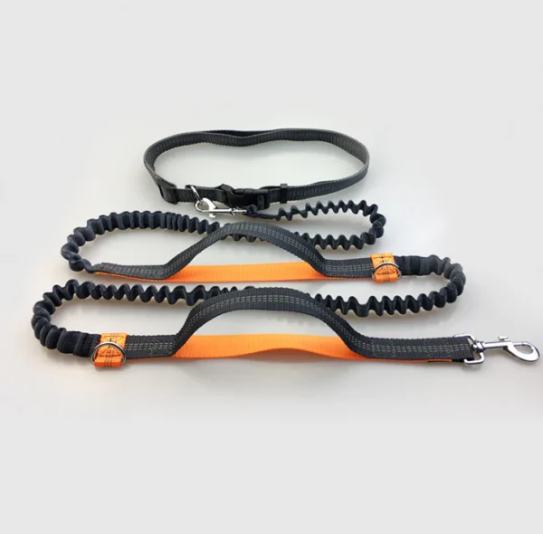 Multi-Functional Double Elastic Dog Leash - Image 10