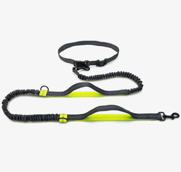 Multi-Functional Double Elastic Dog Leash - Image 8