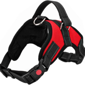 Adjustable Dog Harness