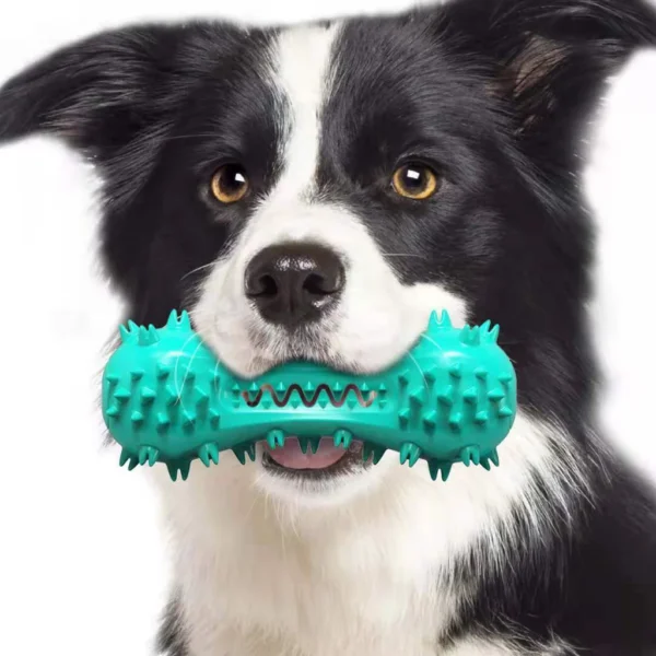 Dog Cleaning Chew Toy For Aggressive Dogs