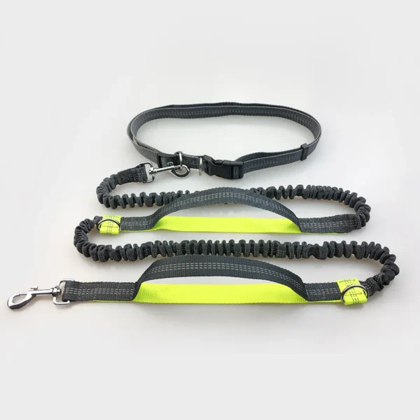 Multi-Functional Double Elastic Dog Leash - Image 7